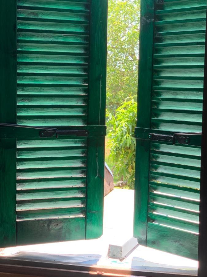 Chambres D' Hotes La Lison Tintry 外观 照片